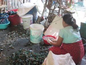 Refugiados. Refugiada birmana limpiando mejillones en Tailandia. Foto Patricia Garrido.Manos Unidas