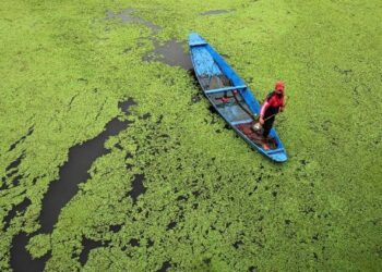 COP30, redes católicas: no puede haber justicia climática sin paz
