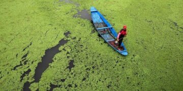 COP30, redes católicas: no puede haber justicia climática sin paz