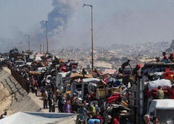El Papa renueva su llamamiento a un alto el fuego en Gaza