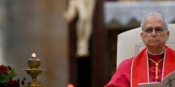 El Papa: Los mártires, símbolos de una esperanza desarmada