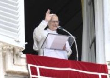 El Papa: Usemos los bienes que Dios nos confía para construir un mundo más justo