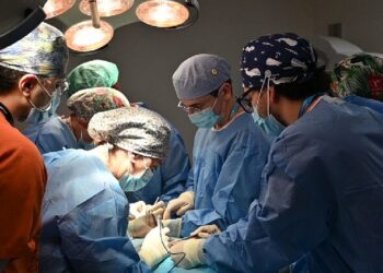 Proyecto con IA que ayuda a mejorar la precisión y a reducir los tiempos quirúrgicos en cirugías de columna