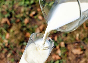 La Comunidad de Madrid distribuirá leche a cerca de 300.000 alumnos de colegios e institutos