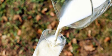 La Comunidad de Madrid distribuirá leche a cerca de 300.000 alumnos de colegios e institutos