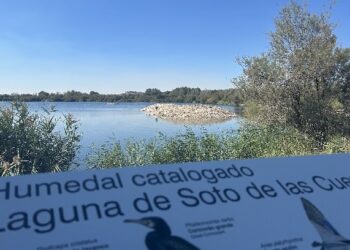 Finaliza la restauración de la Laguna de Soto de las Cuevas en el Parque Regional del Sureste para ampliar su riqueza natural
