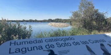 Finaliza la restauración de la Laguna de Soto de las Cuevas en el Parque Regional del Sureste para ampliar su riqueza natural