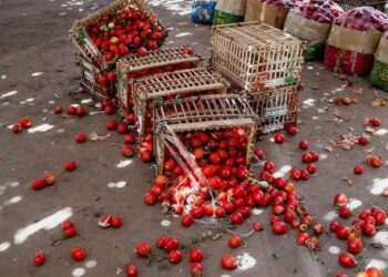 Más de 670 millones de personas padecen hambre