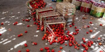 Más de 670 millones de personas padecen hambre