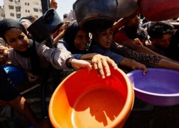 80 años de la FAO, Martina: La paz, un requisito previo para combatir el hambre