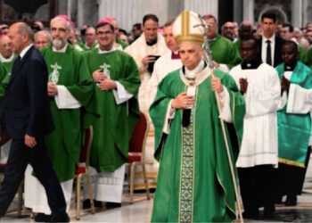 El Papa: Construyamos una Iglesia humilde y acogedora al servicio del mundo