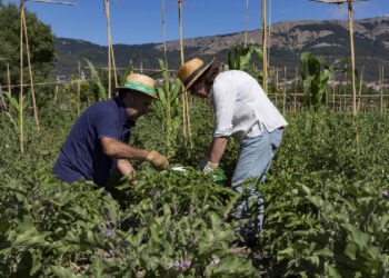 La Comunidad de Madrid abona en un solo día cerca del 40% de las ayudas europeas de 2025 a agricultores y ganaderos de la región