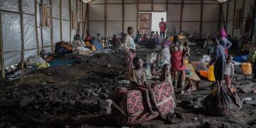 RD del Congo, cardenal Ambongo: El país es víctima del silencio del mundo