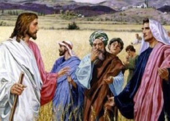 5.10.2025. Domingo 27 del tiempo ordinario (C). Liturgia de la Palabra. Lecturas y Homilía: “Auméntanos la fe”