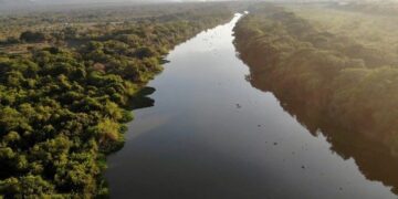 COP 30 en Brasil: la Amazonia cerca del «punto de no retorno»