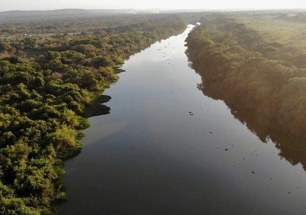 COP-30-en-Brasil.-la-Amazonia-cerca-del-punto-de-no-retorno COP-30-en-Brasil.-la-Amazonia-cerca-del-punto-de-no-retorno