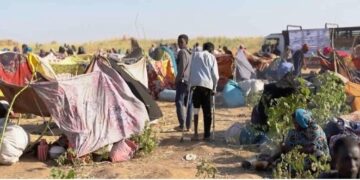 Las atrocidades en El Fasher muestran una “total falta de respeto por la vida humana”