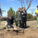 25.000 plantas silvestres autóctonas del IMIDRA para reforestar los municipios de la región madrileña