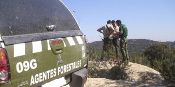 Un dispositivo de Agentes Forestales madrileños viaja a Barcelona para colaborar en el control de la peste porcina