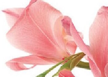 Libros: “Duelo por la propia muerte”, una reflexión humanista, multidimensional y cristiana realizada por Mateo Bautista y Ximena López