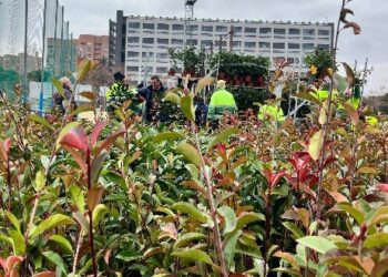 3.400 plantas para regenerar el área residencial afectada por el incendio de este verano en Tres Cantos