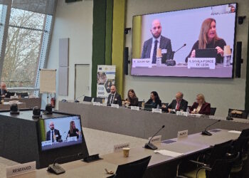 El Banco de Desarrollo del Consejo de Europa estudiará financiar proyectos de las 40 nuevas residencias y 40 centros de día de la Comunidad de Madrid