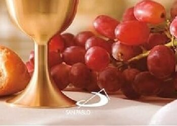 Libros: “Evangelio 2026”. Camino, verdad y vida. Ciclo A