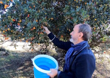 La Comunidad de Madrid forma a 1.300 personas en materia forestal, agraria y alimentaria a través de los cursos gratuitos del IMIDRA