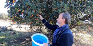 La Comunidad de Madrid forma a 1.300 personas en materia forestal, agraria y alimentaria a través de los cursos gratuitos del IMIDRA