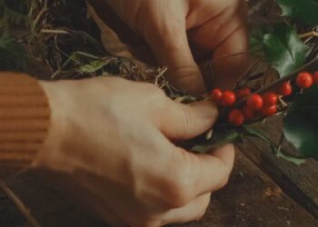 La Comunidad de Madrid recuerda a los ciudadanos las restricciones en la recogida de especies protegidas para su uso como adornos navideños