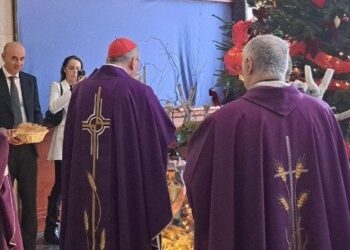 Parolin: Humildad y pequeñez, antídoto a la amenaza de los poderosos