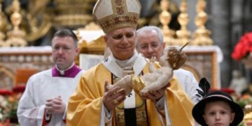 Papa León XIV: En el niño Jesús, Dios da al mundo una nueva vida
