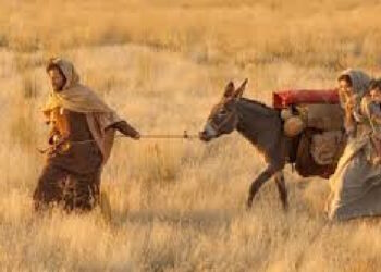 28.12.2025. Domingo de la octava de navidad (A). La sagrada familia: Jesús, María y José. Liturgia de la Palabra. Lecturas y Homilía: “La familia: la realidad y los sueños”