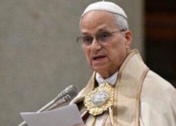 El Papa: las divisiones entre cristianos opaca el rostro de Cristo