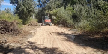 Finaliza la restauración de dos humedales del Parque Regional del Sureste dañados por temporales en 2025