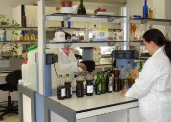 Avance en la producción de compuestos bioactivos para una Nutrición de Precisión en deportistas y enfermos oncológicos