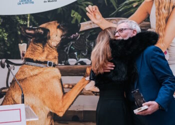 La Comunidad de Madrid, reconocida por su apoyo a la adopción de perros jubilados que han prestado su servicio en seguridad y emergencias