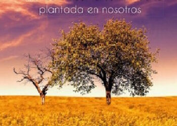 Libros: “Haciendo camino”, dejemos crecer la semilla de Fe plantada en nosotros. Firma la obra Maria de              L´Esperança Amili I Rocamora