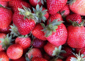 Las Fresas y Espárragos de Aranjuez, el Ajo Fino de Chinchón y la Miel de Madrid tendrán sellos de calidad de la Comunidad