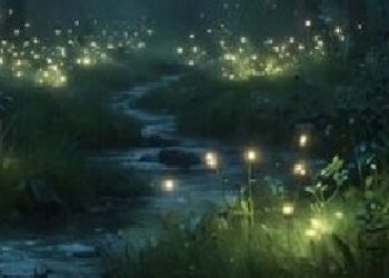 Libros: “Ser luz en la oscuridad”. El sacerdote carmelita Eusebio Gómez Navarro reflexiona sobre la luz del Hijo de Dios en nuestra vida