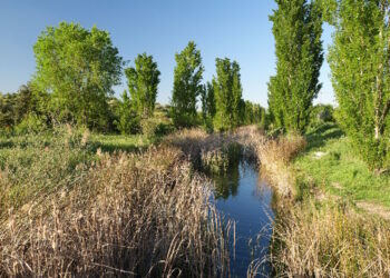 Exposición fotográfica sobre el Arco Verde con más de 1.700 instantáneas