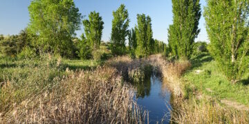 Exposición fotográfica sobre el Arco Verde con más de 1.700 instantáneas