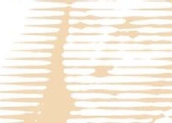 Libros: “Camino de perfección”, una obra que refleja la herencia espiritual de Santa Teresa de Jesús