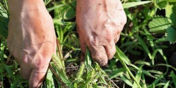 Comienza la campaña de desbroces para prevenir incendios en Majadahonda