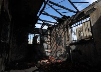 El Papa: Estas guerras son una vergüenza para toda la humanidad