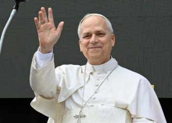 León XIV: los empresarios deben promover el desarrollo humano respetando la creación