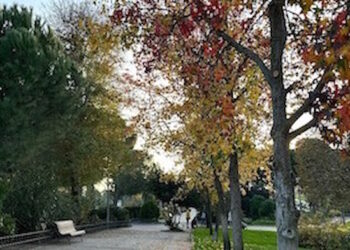Majadahonda reconocida por quinto año consecutivo como “Tree cities of the World”
