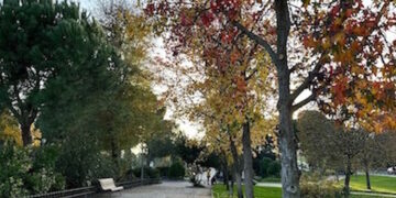 Majadahonda reconocida por quinto año consecutivo como “Tree cities of the World”