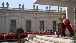 Llamado del Papa León XIV contra la violencia y la guerra en Domingo de Ramos