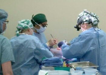 León XIV: “la donación de órganos es un acto noble y de generosa solidaridad”